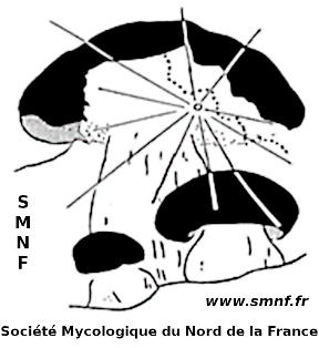 Société Mycologique du Nord de la France