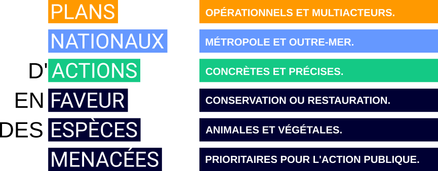 Les plans nationaux d'actions, des documents opérationnels pour la France et l’Outre-Mer aux actions concrètes et précises en faveur des espèces menacées.